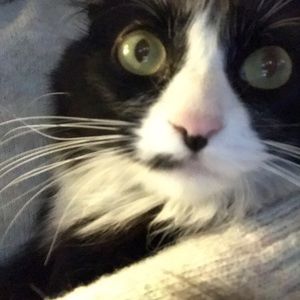 Meet your Posher, Abby